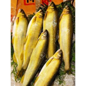Cá Ayu Nhật - biểu tượng mùa hè Nhật Bản.