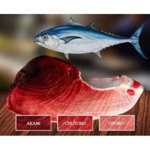 Bluefin Tuna
